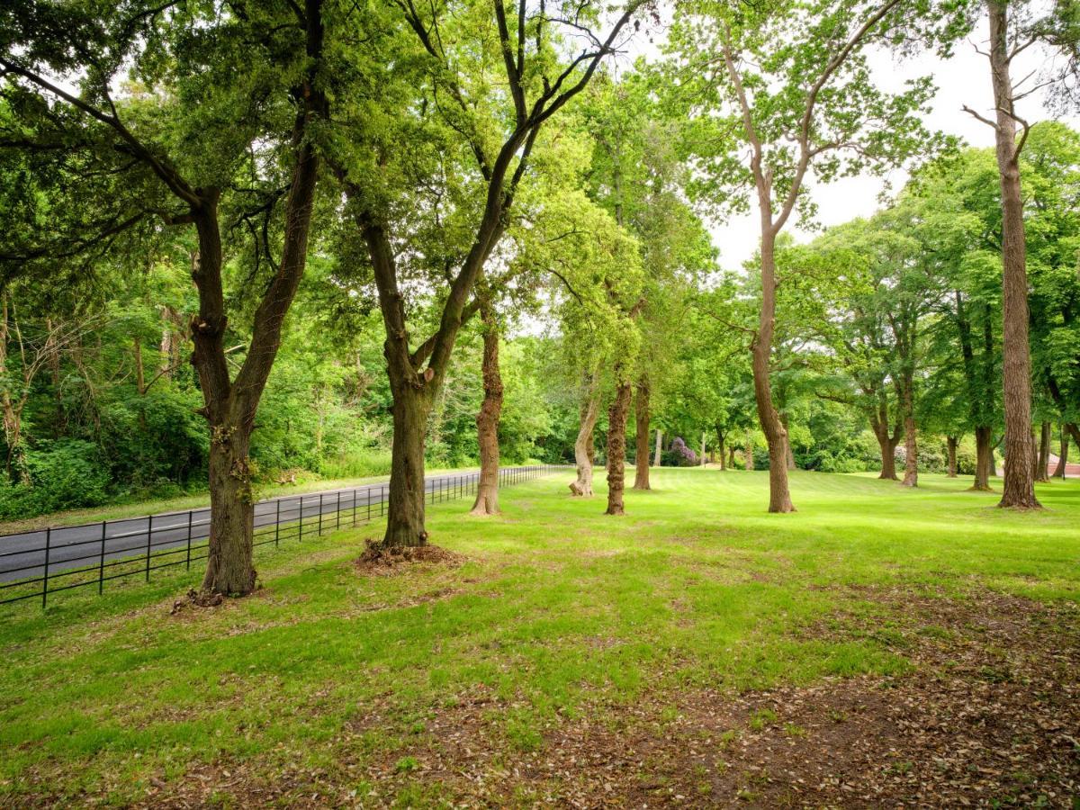 Tyrrells Park