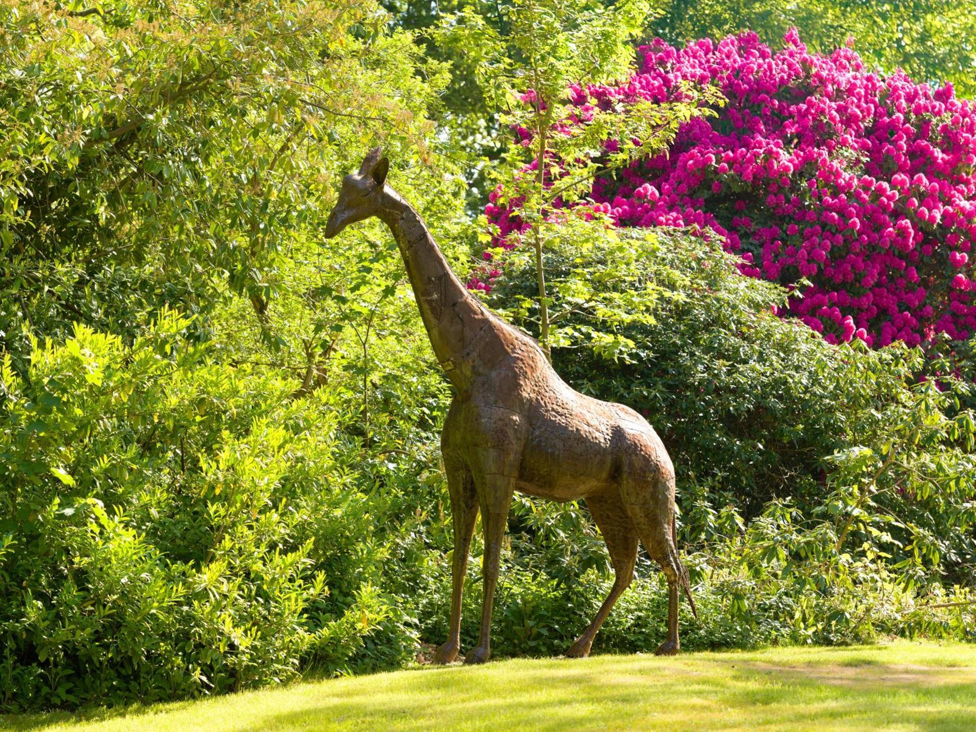 Tyrrells Park Bed & Breakfast