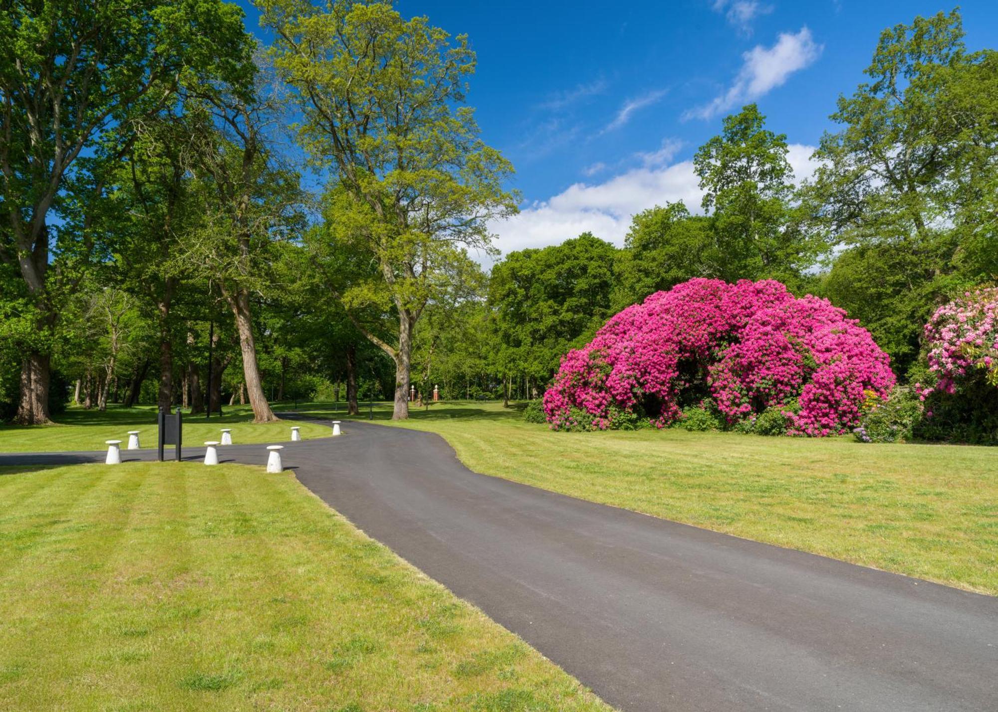 Tyrrells Park *